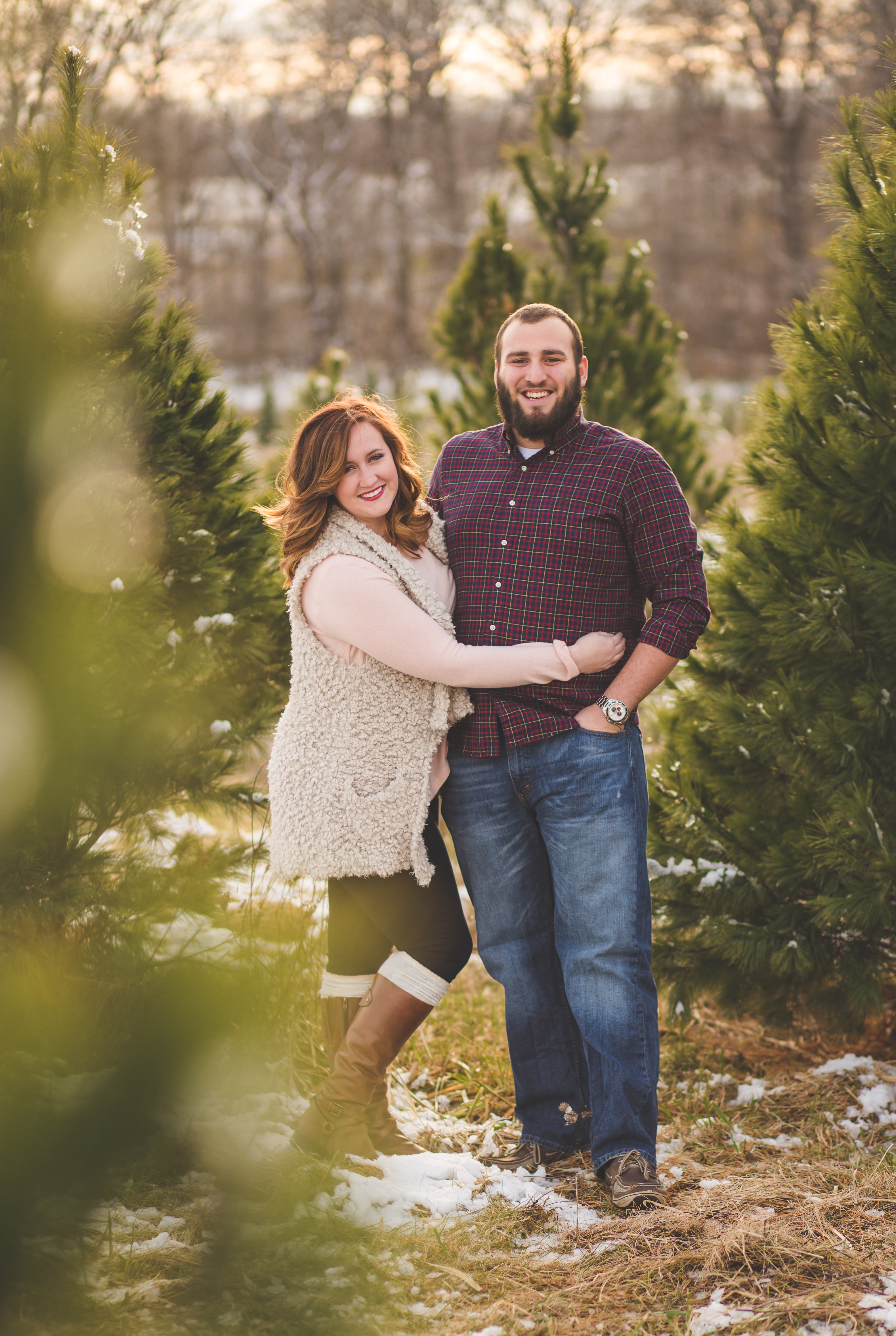 2016 christmas tree farm minis bluebird photography fort wayne christmas tree farm